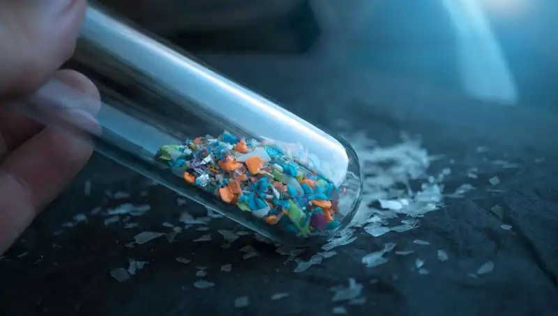 Mikroplastikler Beyin Sağlığını Tehdit Ediyor: Son Araştırmalar Ne Diyor?