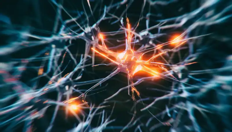 Alzheimer Vakaları Neden Artıyor? İşte Artışın Gerçek Sebepleri