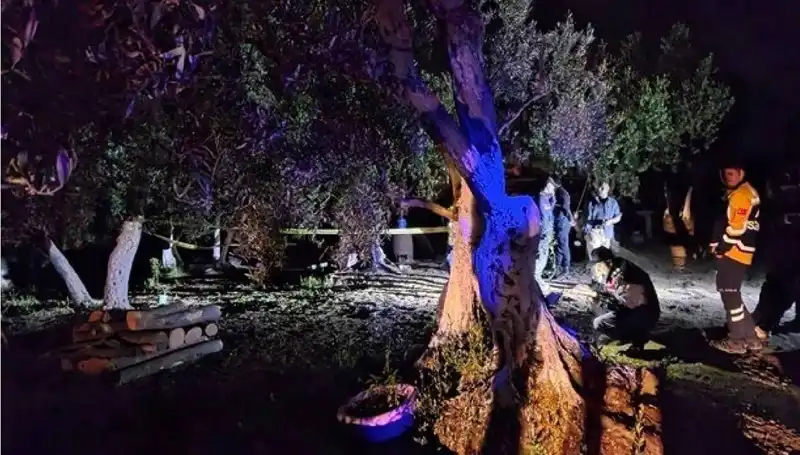 Çiftlikteki Baltalı Vahşet: Tutuklama Süreci Başladı