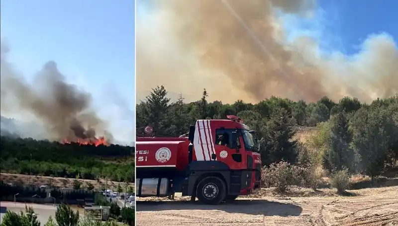 Gebze'de Patlak Veren Orman Yangını, Yangınla Mücadelede Son Durum Nedir?