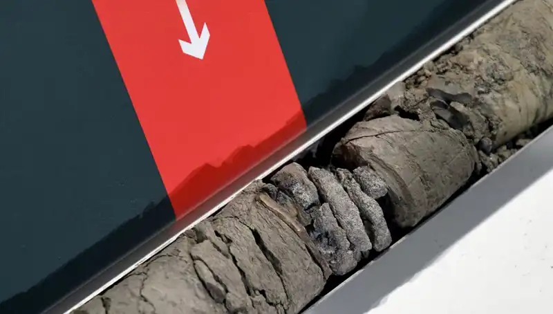 Müze Otoparkında Şaşırtıcı Dinozor Fosili Bulundu!