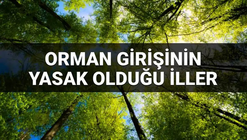 2025'te Hangi İllerde Ormana Girmek Yasak? İşte O Şehirler!