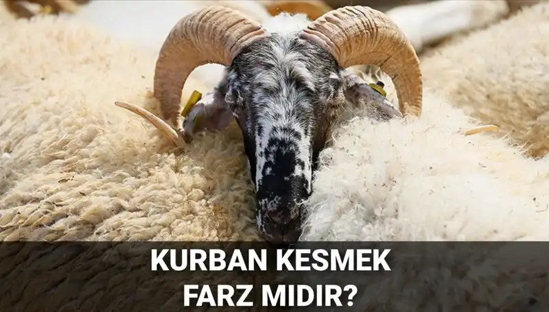 Kurban Kesmek Farz mı? Diyanet’in Görüşü ve Şartları Açıklıyoruz
