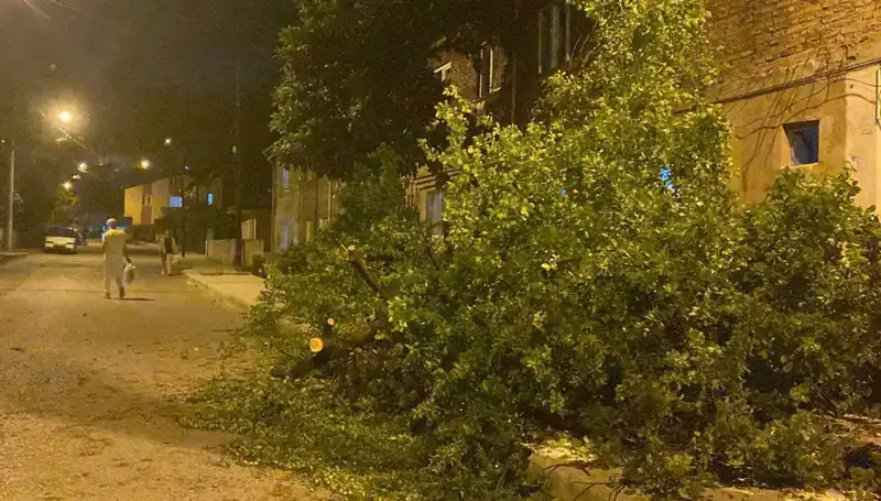 Karabük'te Fırtına: Geride Kalan Zarar ve Yeniden Yapılanma Süreci