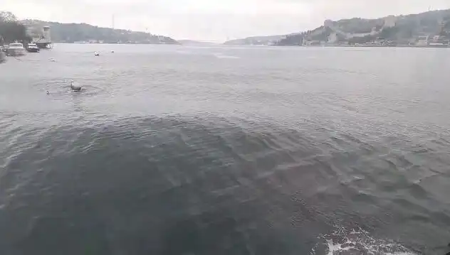 İstanbul Boğazı'nda Dalgalar Yükseliyor: Kentin Doğal Güzellikleri Zorlu Sınavda