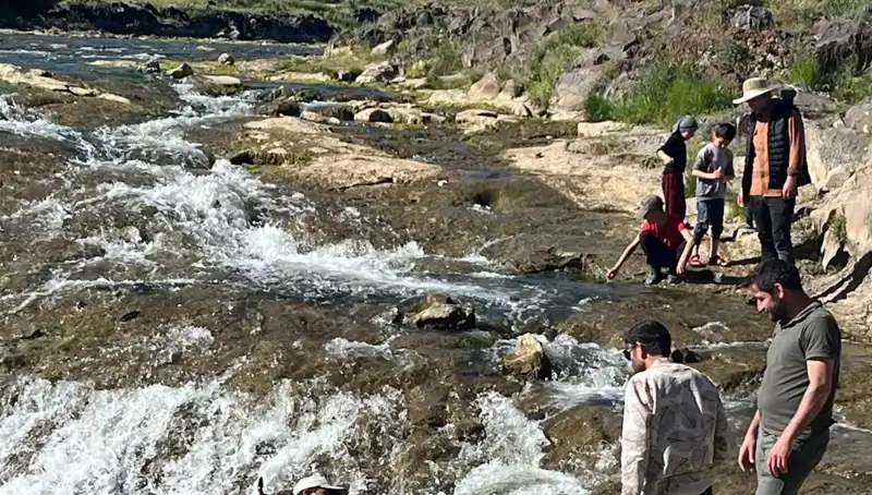 İnci Kefalinin Büyüleyici Göçü: Turistleri Kendine Çekiyor
