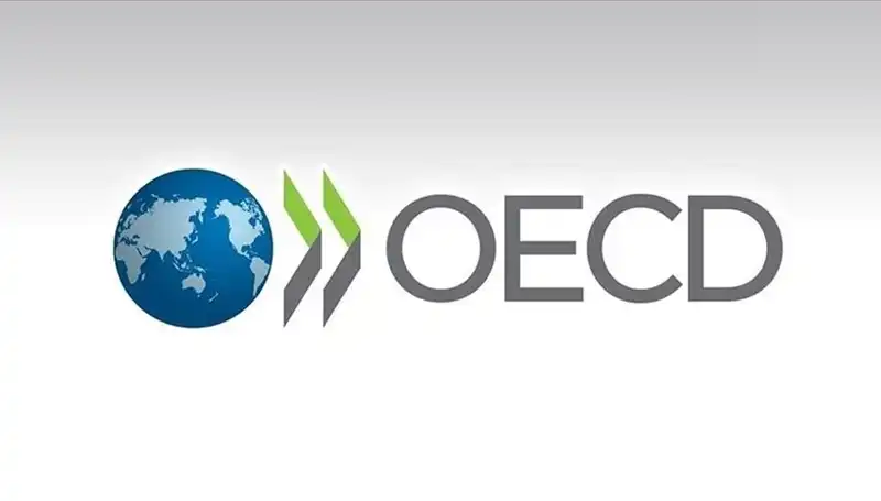 OECD, Türkiye Ekonomisi İçin Büyüme Tahminini Güncelledi: İşte Veriler!