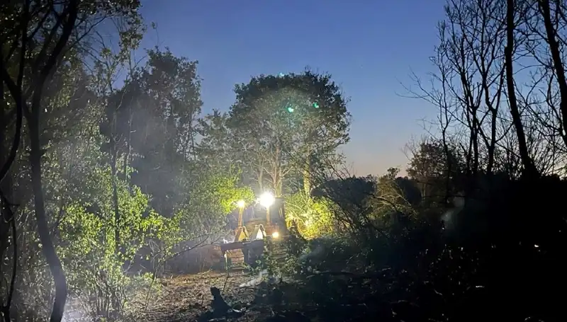 Edirne'deki Orman Yangını Kontrol Altına Alındı: Doğa Nefes Aldı